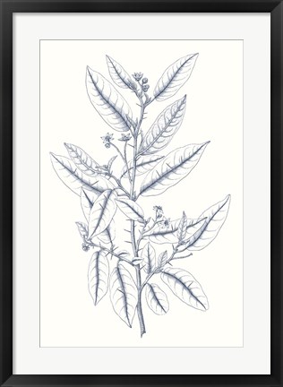 Framed Indigo Botany Study V Print