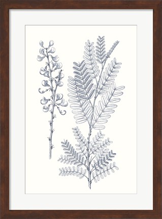 Framed Indigo Botany Study VII Print