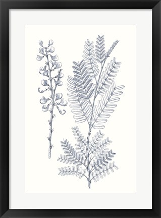 Framed Indigo Botany Study VII Print