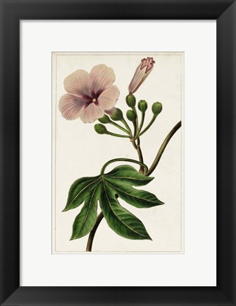 Framed Mauve Botanicals I Print