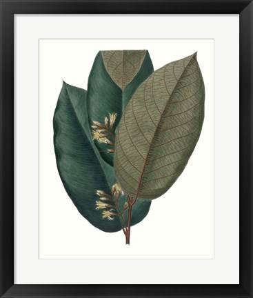 Framed Fall Foliage I Print
