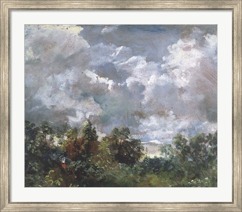 Framed Study of Sky and Trees Print