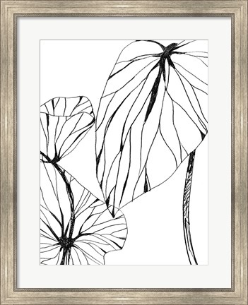 Framed Linear Tropics II Print