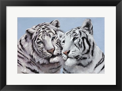 Framed Loving White Tigers Print