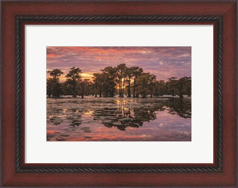 Framed Sundown in the Swamps Print