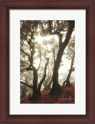 Framed Red Dreams Print