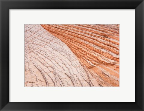 Framed Coyote Buttes VI Print