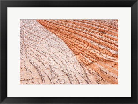 Framed Coyote Buttes VI Print
