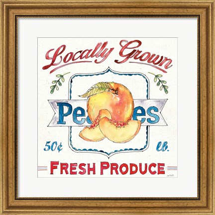 Framed Fruit Stand III Print