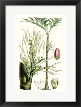 Framed Tropical Plants III Print