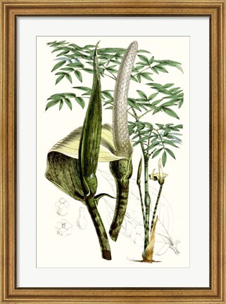 Framed Tropical Plants IV Print