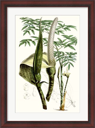 Framed Tropical Plants IV Print