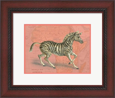 Framed African Animals on Coral III Print