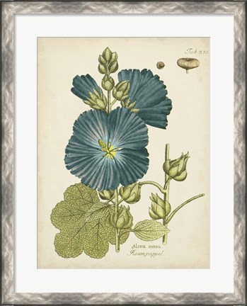 Framed Eloquent Botanical IV Print