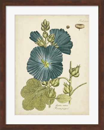 Framed Eloquent Botanical IV Print