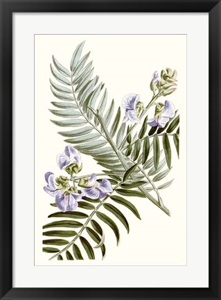 Framed Graceful Botanical IV Print