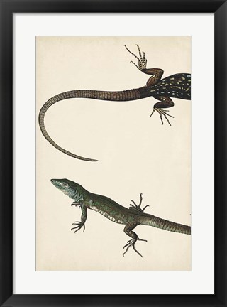 Framed Lizard Diptych I Print