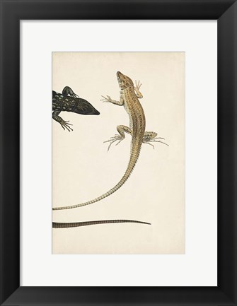 Framed Lizard Diptych II Print