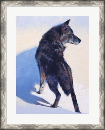 Framed Wolf Study I Print