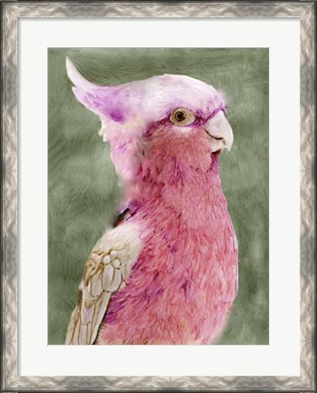 Framed Palm Springs Parrot I Print