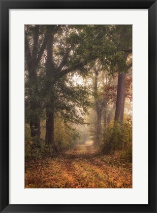Framed Autumn&#39;s Walk I Print