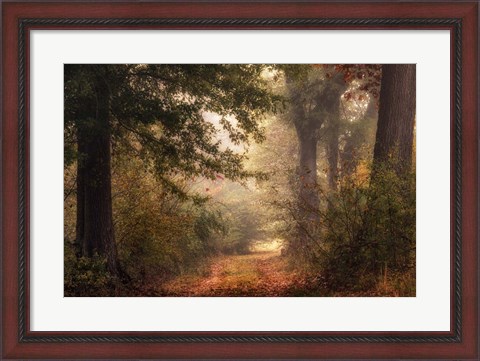 Framed Autumn&#39;s Walk II Print