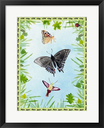 Framed Bug Collector II Print
