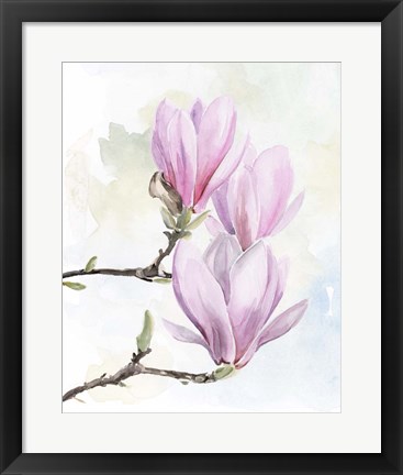 Framed Magnolia Blooms I Print