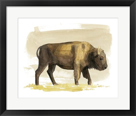 Framed Bison Watercolor Sketch I Print