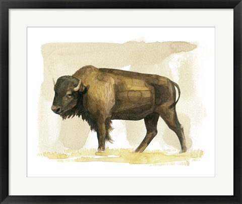 Framed Bison Watercolor Sketch II Print