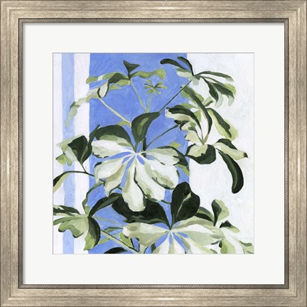 Framed Indoor Plant II Print