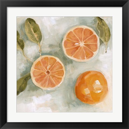 Framed Fresh Citrus III Print