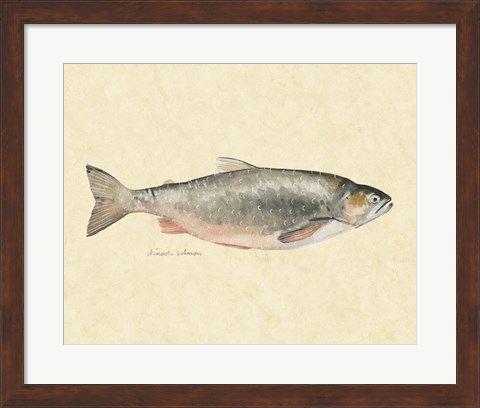 Framed Catch of the Day II Print