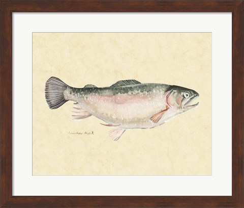Framed Catch of the Day III Print