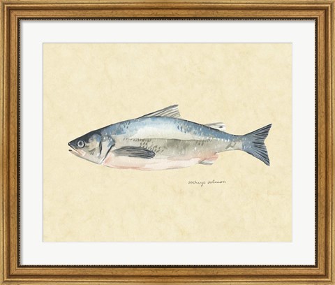 Framed Catch of the Day IV Print