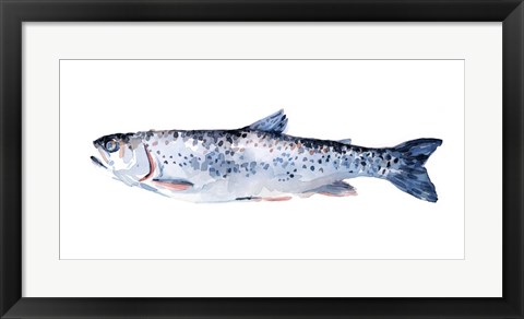 Framed Freckled Trout III Print