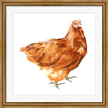 Framed Wild Chicken I Print