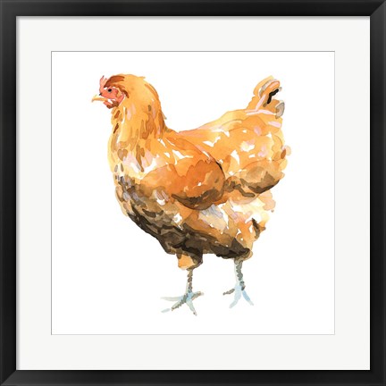 Framed Wild Chicken II Print