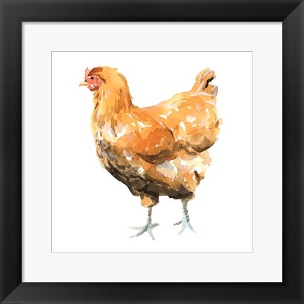 Framed Wild Chicken II Print