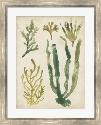 Framed Vintage Sea Fronds VI Print