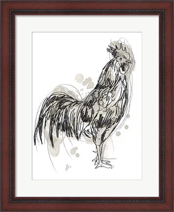 Framed Feathered Fowl III Print