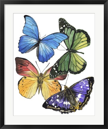 Framed Butterfly Swatches II Print