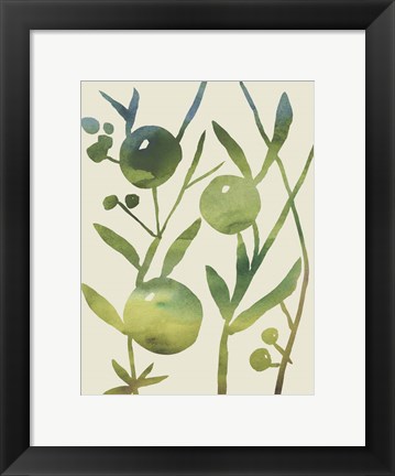 Framed Spring Sprig IV Print