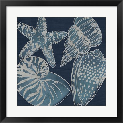 Framed Marine Shells I Print