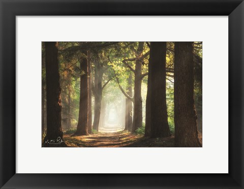 Framed Fresh Green Forest Print