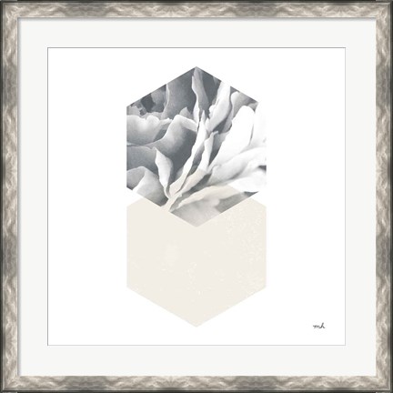 Framed Blossoms IV Print