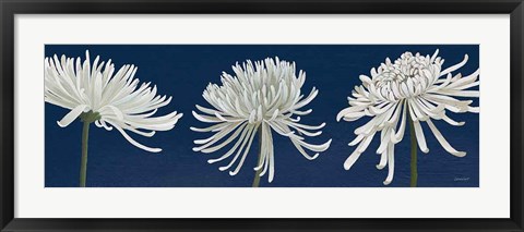 Framed Morning Chrysanthemums V Dark Blue Print
