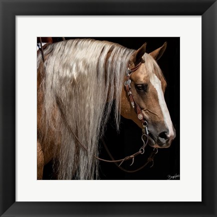 Framed Platinum in Bridle Print