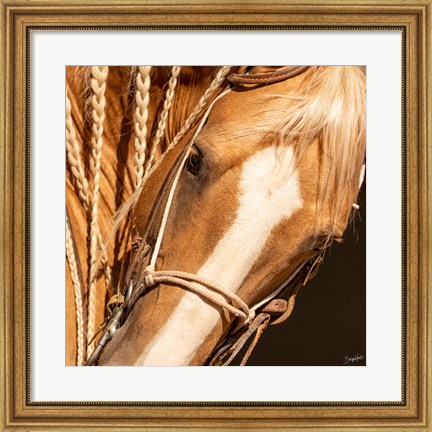 Framed Palomino n Vogue Print