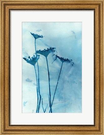 Framed Blue Anne Print